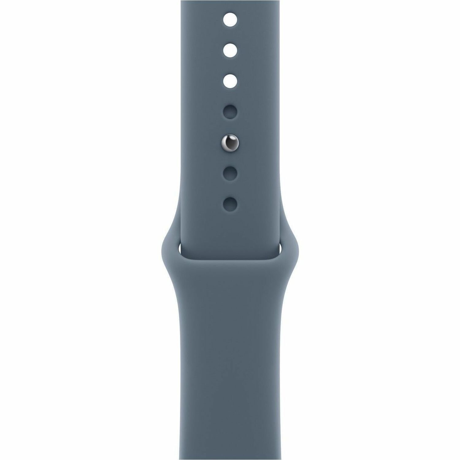 Apple Adjustable Smartwatch Band