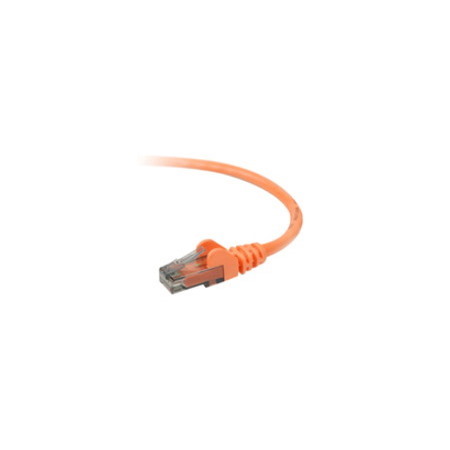 Belkin Cat.6 Cable