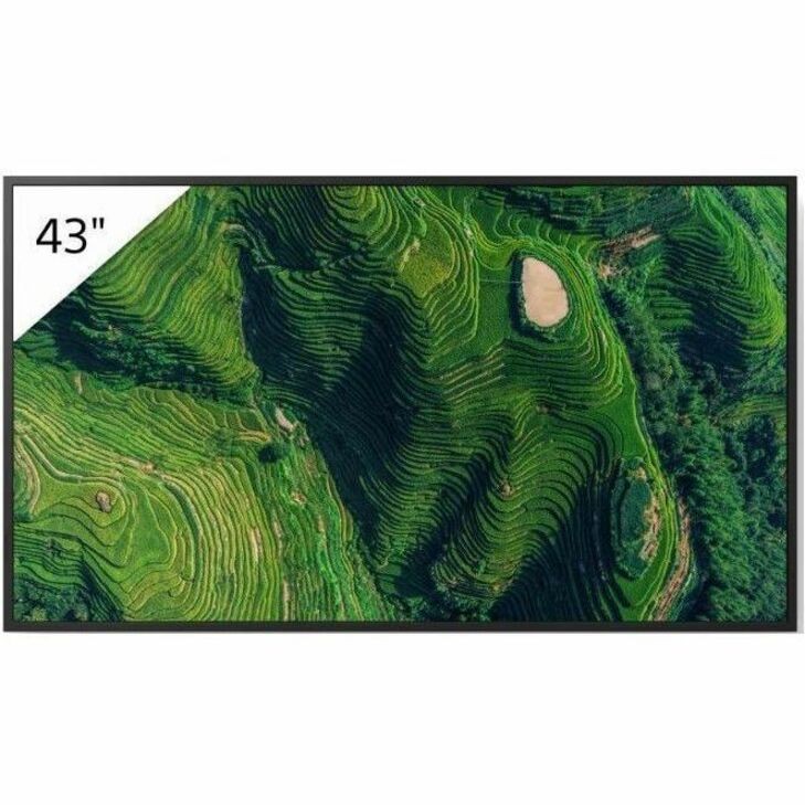 Sony Pro Bravia FW43BZ35PB 43" LCD Digital Signage Display - 24 Hours/7 Days Operation - Energy Star