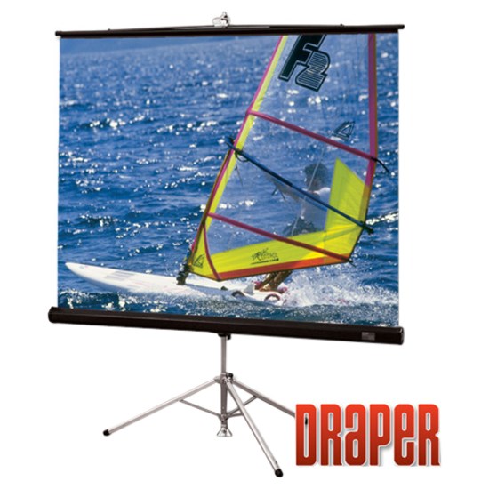 Draper Diplomat/R 109" Projection Screen