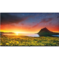 LG Hospitality UR760H 65UR760H9UD 65" Smart LED-LCD TV - 4K UHDTV - Navy Blue
