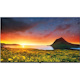 LG Hospitality UR760H 65UR760H9UD 65" Smart LED-LCD TV - 4K UHDTV - Navy Blue