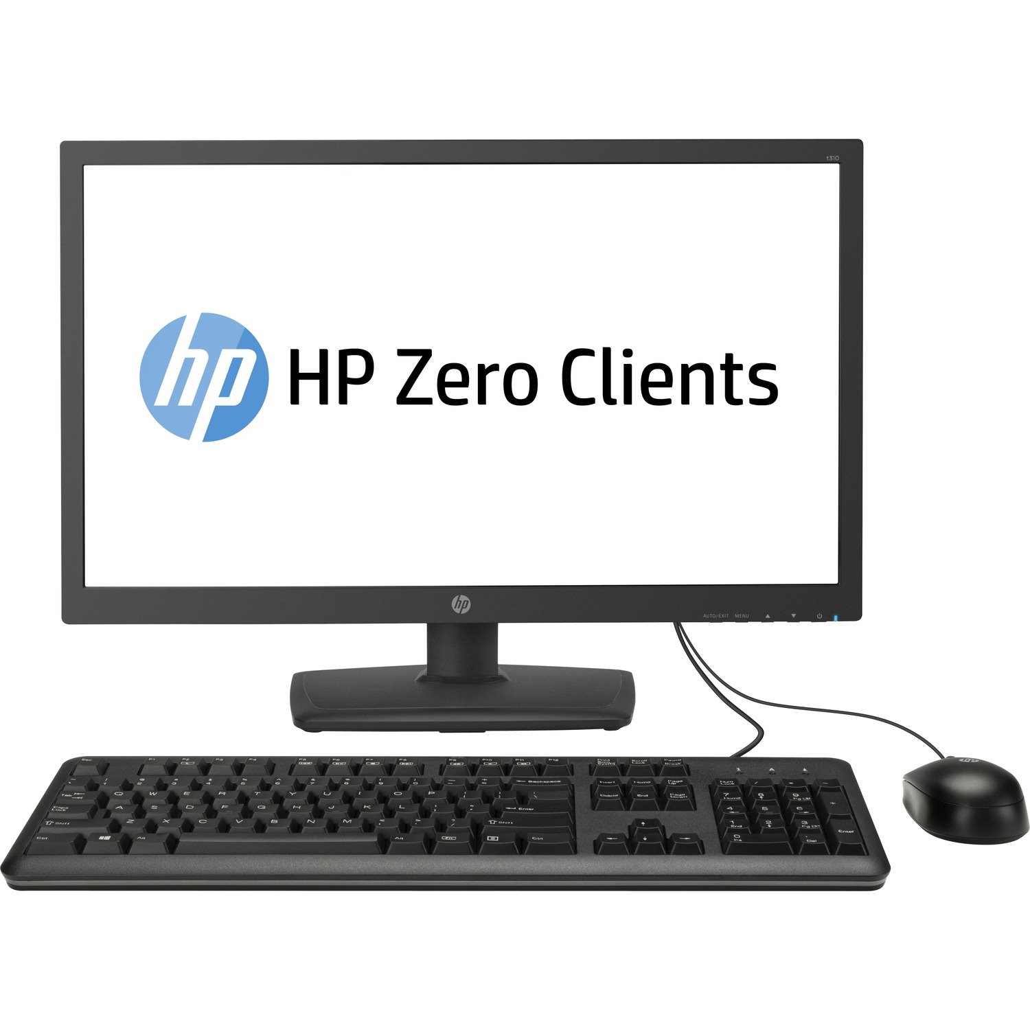 HP t310 Small Form Factor Zero Client Tera2140
