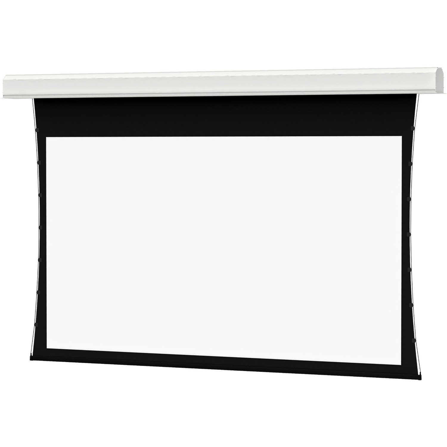 Da-Lite Tensioned Advantage 220" Electric Projection Screen