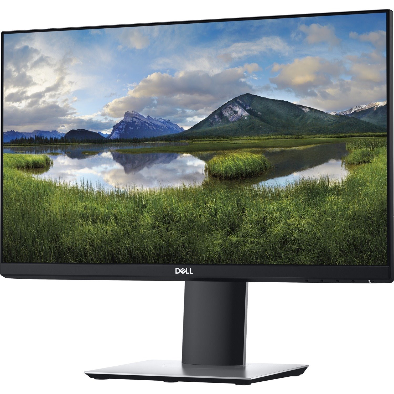 Dell P2219H 22" Class Full HD LCD Monitor - 16:9 - Black