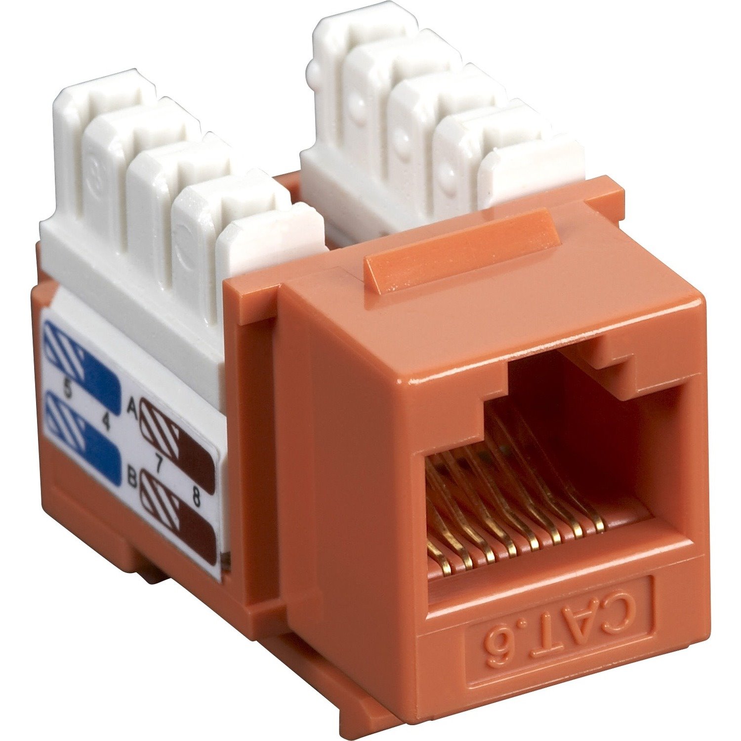 Black Box CAT6 Value Line Keystone Jack, Orange