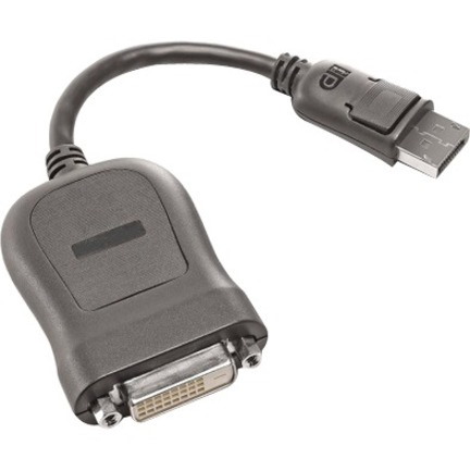 Lenovo - Open Source 20 cm DisplayPort/DVI-D Video Cable for Monitor, Video Device, PC, Graphics Card, TV, Projector