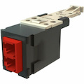 Ortronics Infinium Fiber Optic Network Adapter