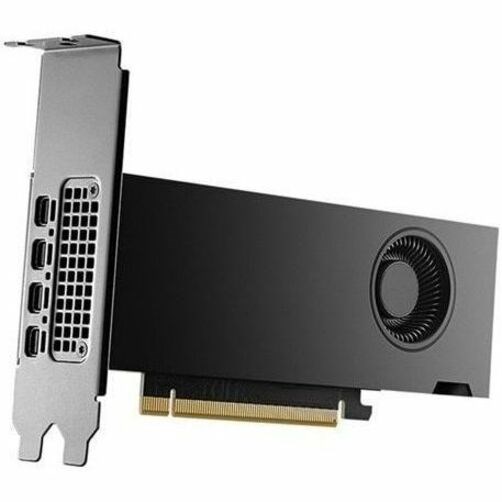 Dell NVIDIA RTX 2000 Ada Graphic Card - 16 GB GDDR6 - Full-height