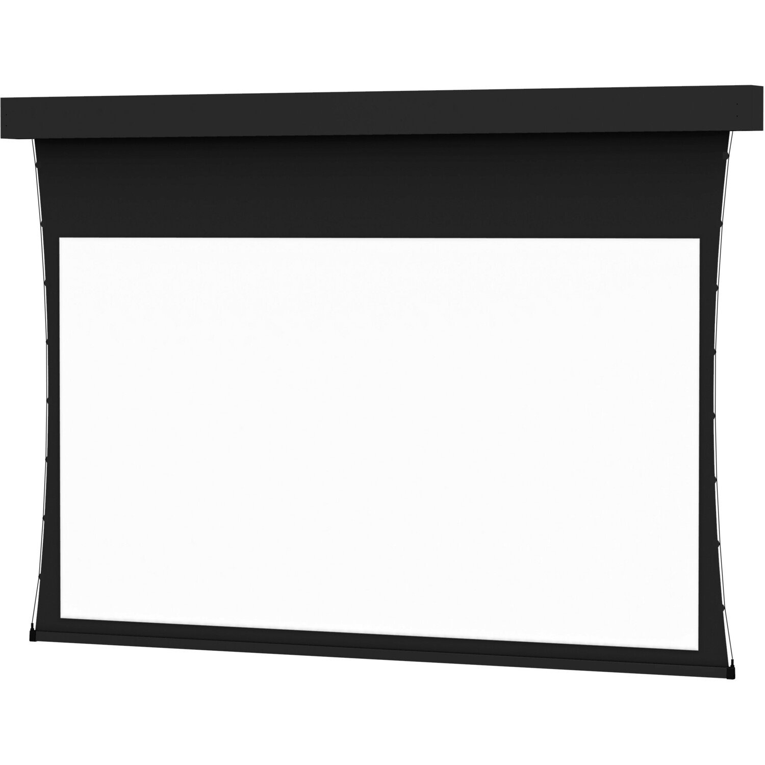 Da-Lite Tensioned Professional Electrol 220" Electric Projection Screen