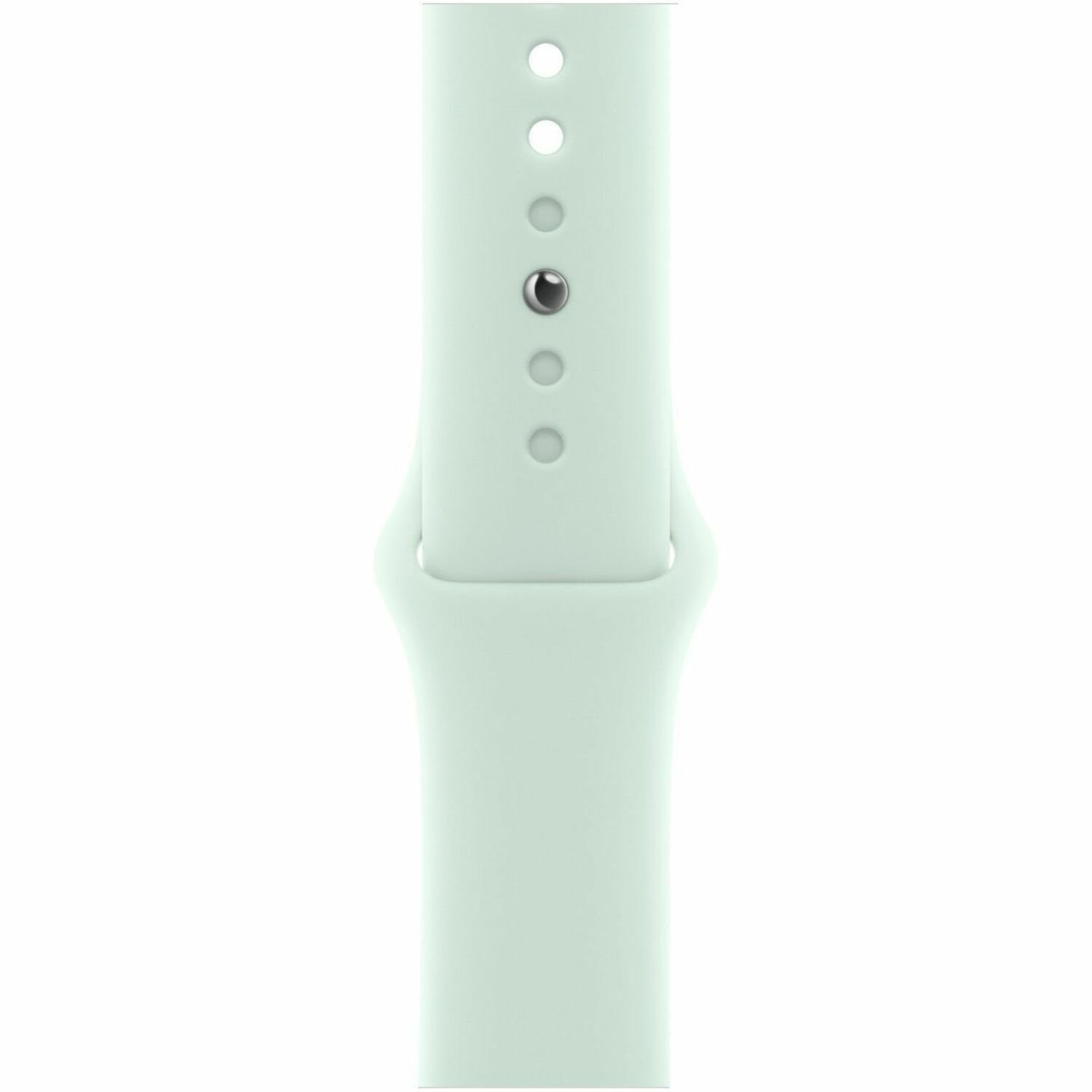 Apple Adjustable Smartwatch Band