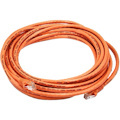 Monoprice Cat6 24AWG UTP Ethernet Network Patch Cable, 20ft Orange