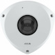 AXIS P9117-PV 6 Megapixel Indoor Network Camera - Color - Dome - White - TAA Compliant