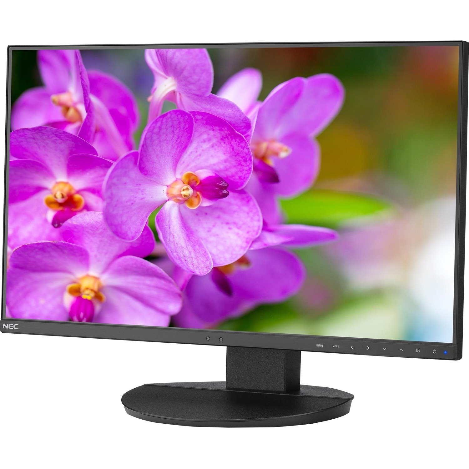 NEC Display MultiSync EA241F Full HD LCD Monitor - 16:9 - Black