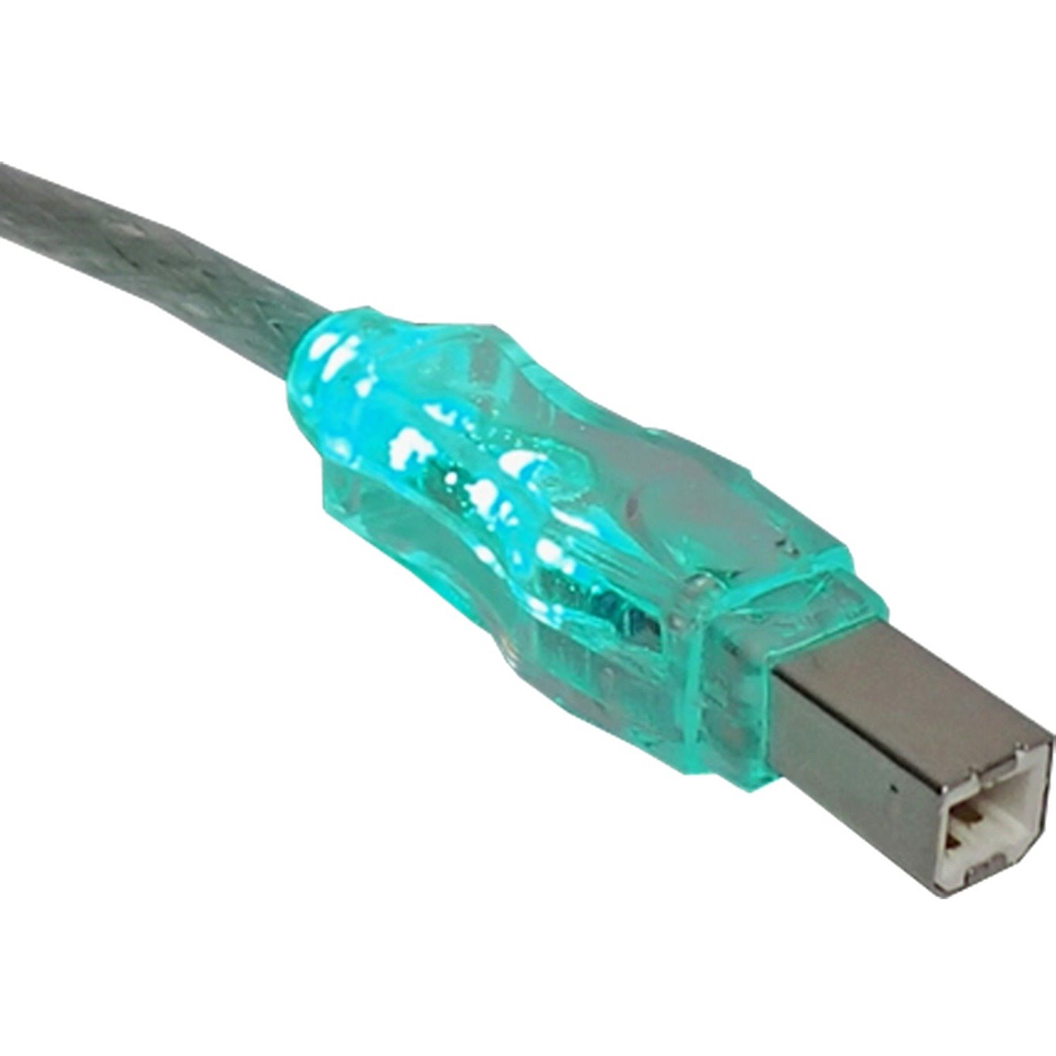 QVS USB 2.0 480Mbps Type A Male to B Male Translucent Cable with LEDs