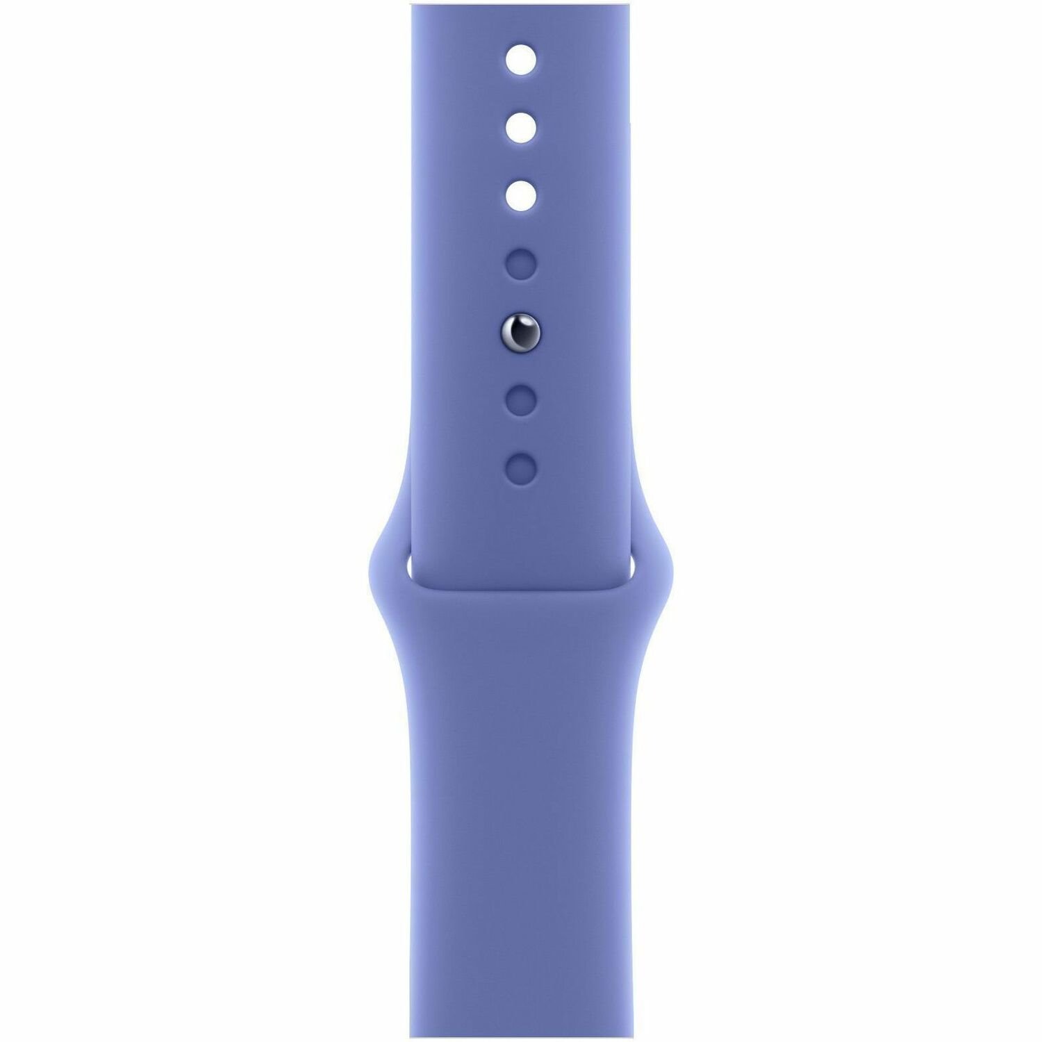 Apple Adjustable Smartwatch Band