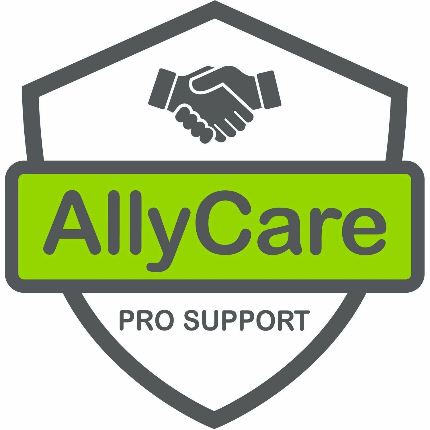 NetAlly AllyCare - 1 Year - Service