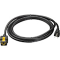 APC NetShelter Power Cord, Locking, IEC C19 to NEMA 5-15P, 3.0m