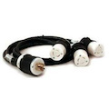 Power Cord Splitter, L21-20P to (3)L5-20R