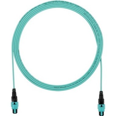 Panduit 50FT Om4 12FB PL Panmpo FM No