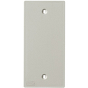 Hubbell 1 Gang Low Profile Blank KP Faceplate