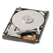 Toshiba MK2546GSX 250 GB Hard Drive - 2.5" Internal - SATA (SATA/300)