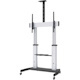 Manhattan TV & Monitor Mount, Trolley Stand, 1 screen, Screen Sizes: 60-100" , Silver/Black, VESA 200x200 to 800x600mm, Max 100kg, Height adjustable 1200 to 1685mm, Camera and AV shelves, Aluminium, LFD, Lifetime Warranty