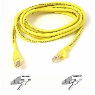 Belkin Cat6 UTP Patch Cable