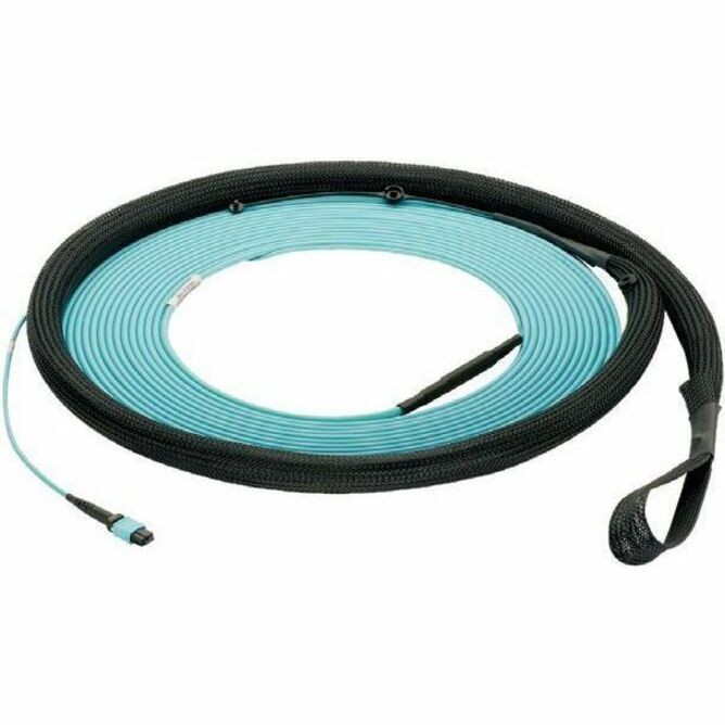 Panduit Om4 12Fi Isdt Fe1mb-Fe1mb Polb