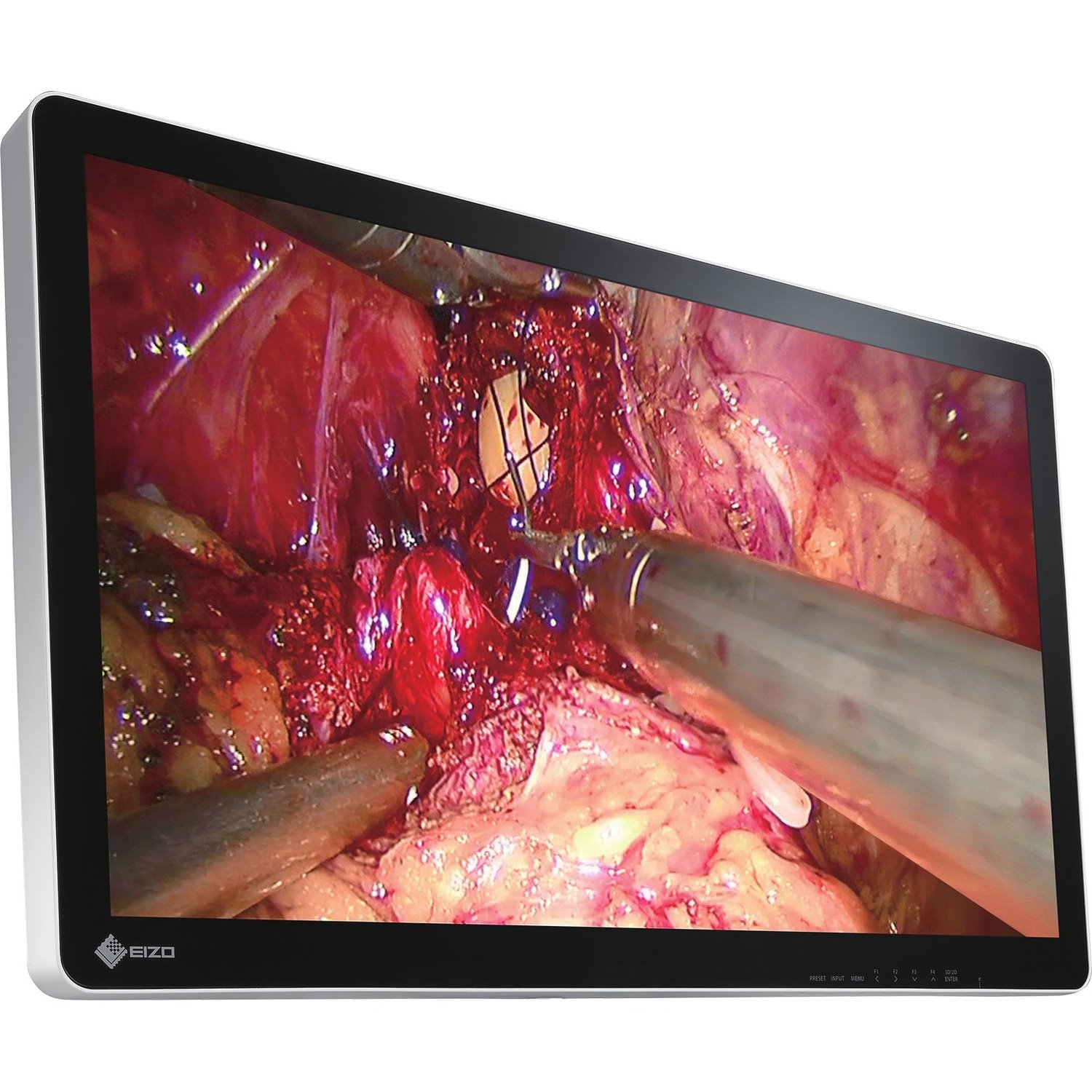 EIZO CuratOR EX3220-3D 32" Class Full HD LCD Monitor - 16:9 - Black, White