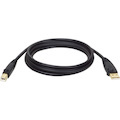 Tripp Lite series 3.05 m USB Data Transfer Cable - 1 Each
