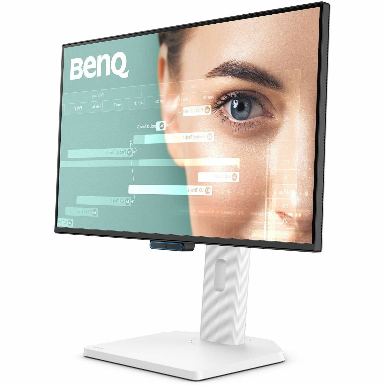 BenQ GW2490TC 24" Class Full HD LED Monitor - 16:9