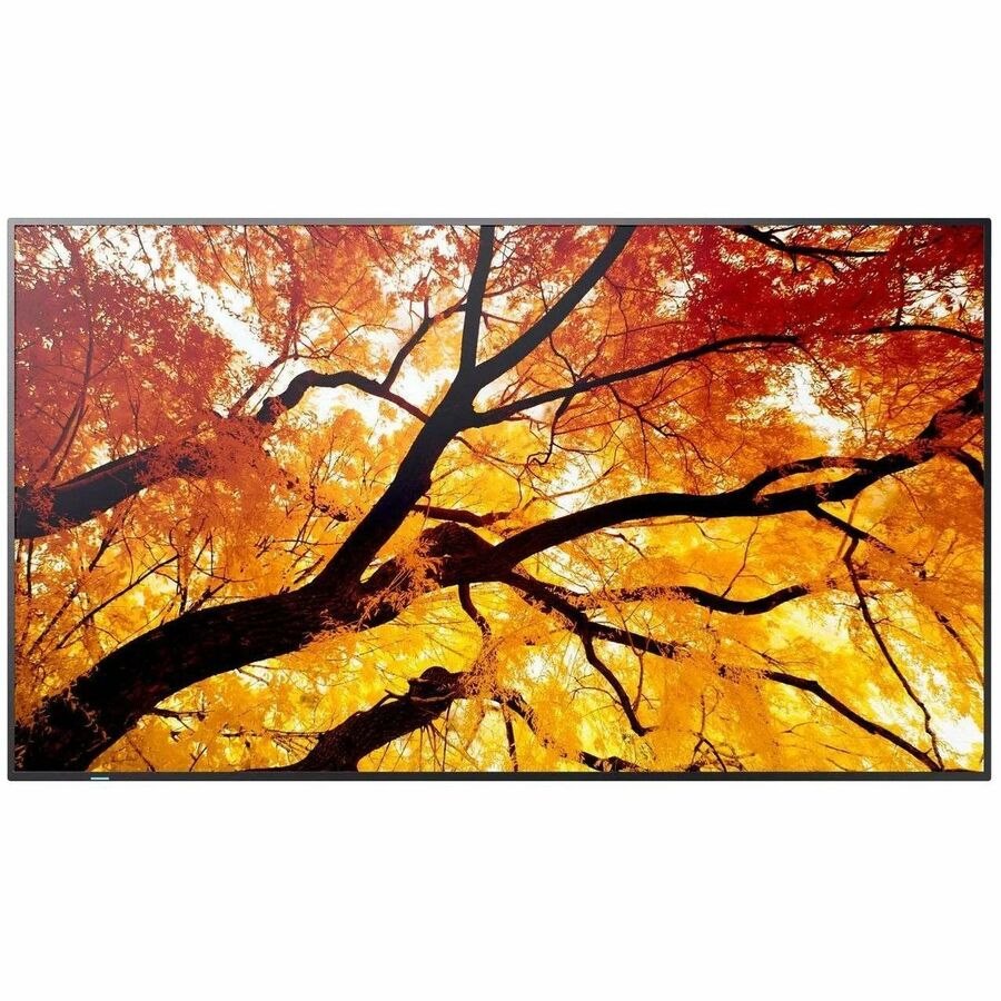 Sharp M432 43 M-Series LFD Uhd 550CD/M2