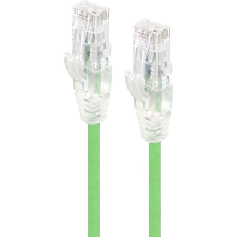 Alogic Alpha 1.50 m Category 6 Network Cable for Network Device
