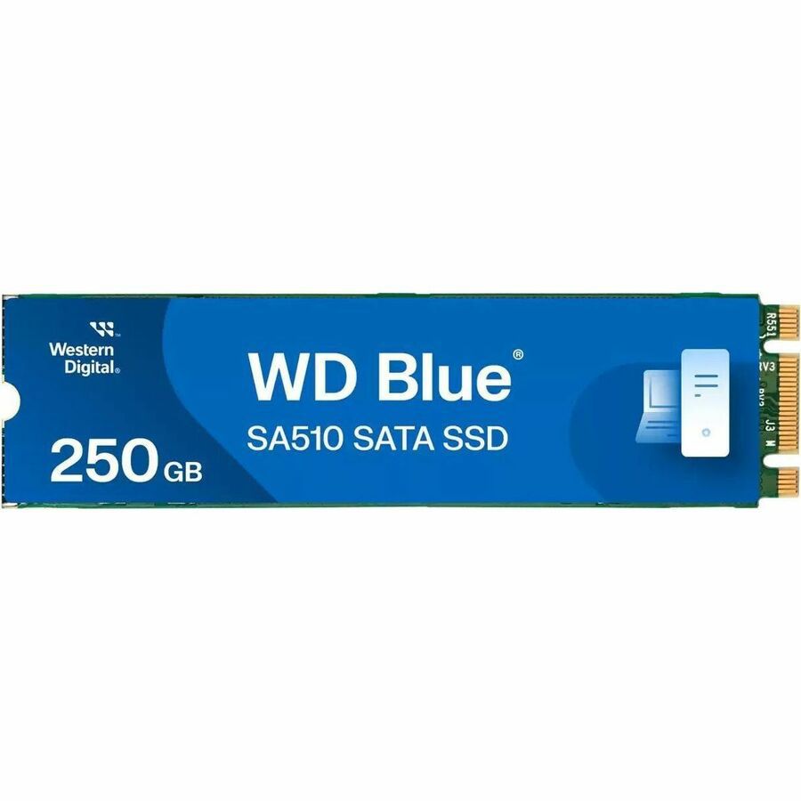 WD Blue SA510 - SSD M.2 SATA - 250 Go