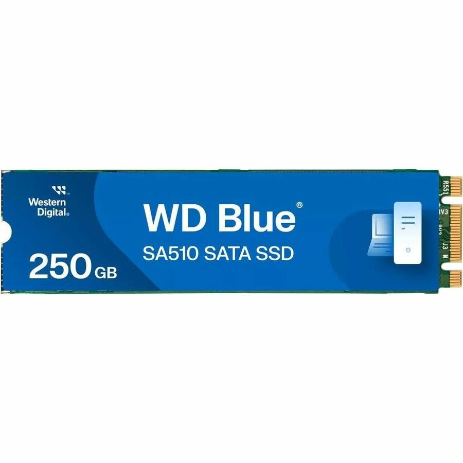 WD Blue SA510 WDS250G3B0B-00AXS0 250 GB Solid State Drive - M.2 2280 Internal - SATA (SATA/600)