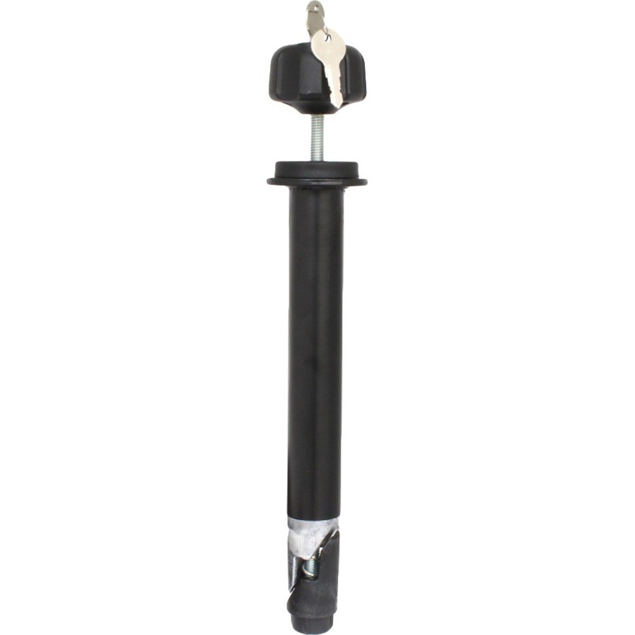 RAM Mounts Mounting Pole