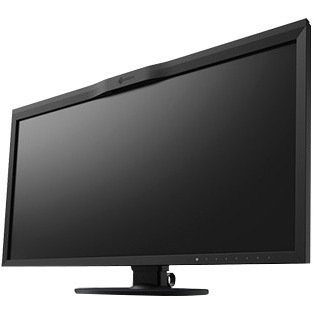 EIZO ColorEdge CG319X 4K LCD Monitor - 17:9 - Black