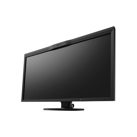 EIZO ColorEdge CG319X 4K LCD Monitor - 17:9 - Black