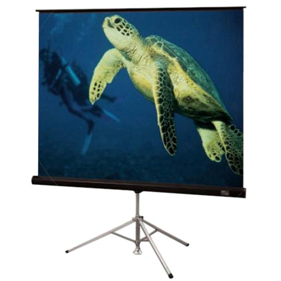 Draper Diplomat/R Projection Screen