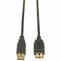 Tripp Lite series U024-010 3.05 m USB Data Transfer Cable - 1 Each