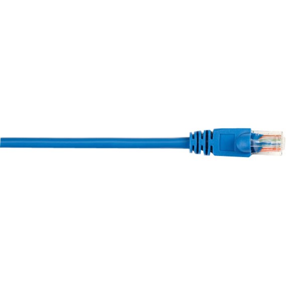 Black Box CAT5e Value Line Patch Cable, Stranded, Blue, 3-ft. (0.9-m)