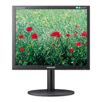 Samsung SyncMaster B1940W 19" Class WXGA+ LCD Monitor - Black
