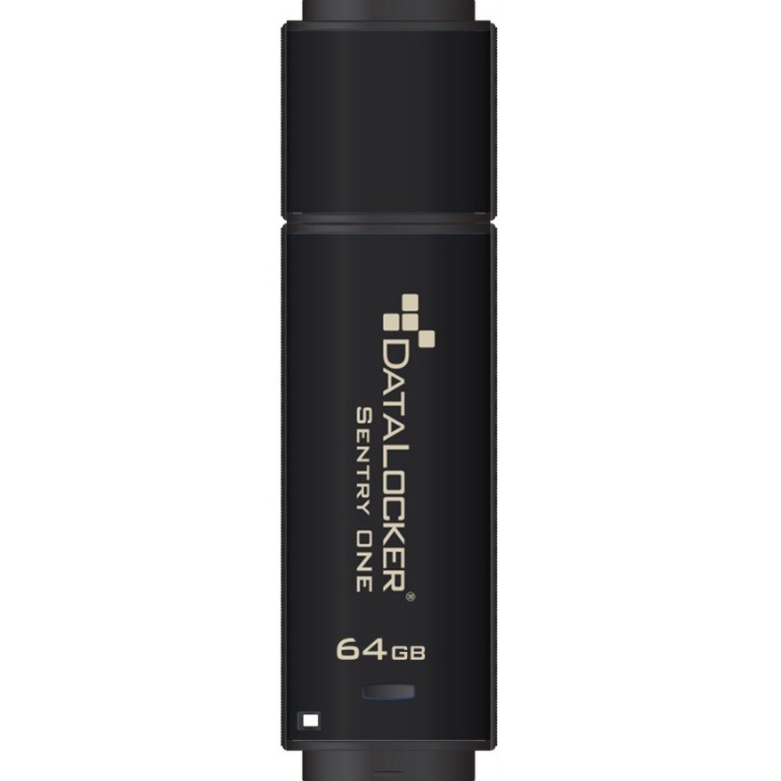 DataLocker Sentry ONE Encrypted Flash Drive