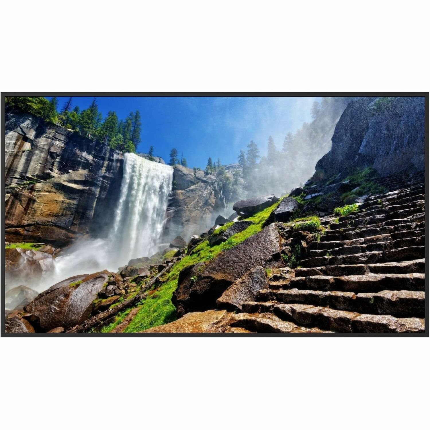 Sharp NEC Display 75" Ultra High Definition Commercial Display