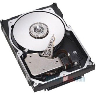 IBM 42D0632 146 GB Hard Drive - 2.5" Internal - SAS (6Gb/s SAS)