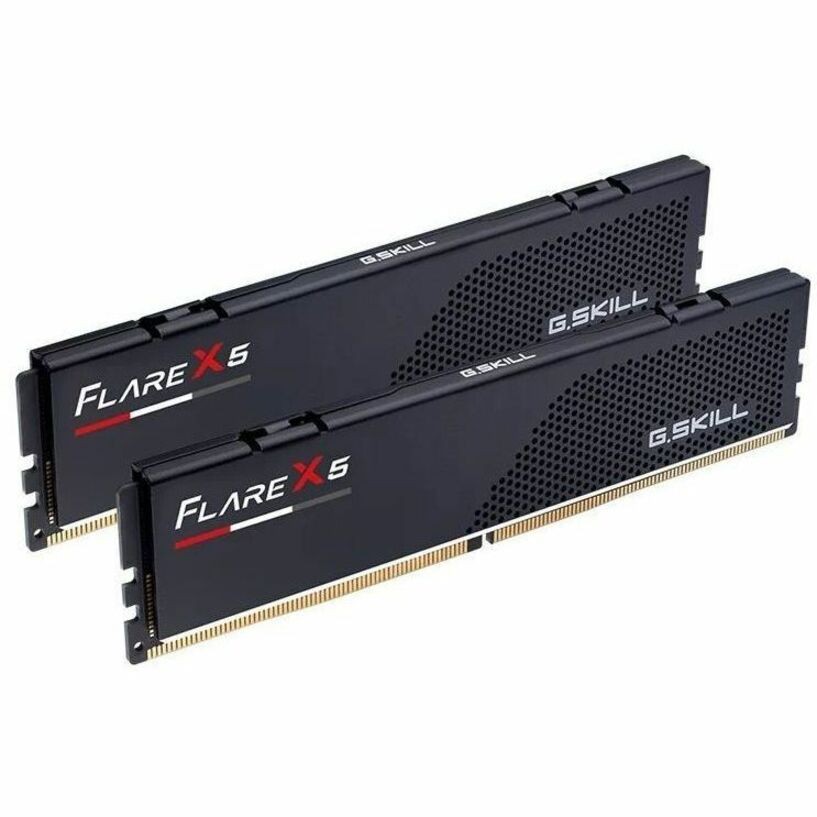 G.SKILL Flare X5 F5-5200J4040A48GX2-FX5 RAM Module for Motherboard, Desktop PC - 96 GB (2x48 GB) - DDR5-5200/PC5-41600 DDR5 SDRAM - 5200 MHz - CL40 - 1.10 V