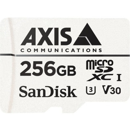 AXIS 256 GB microSDXC - 10