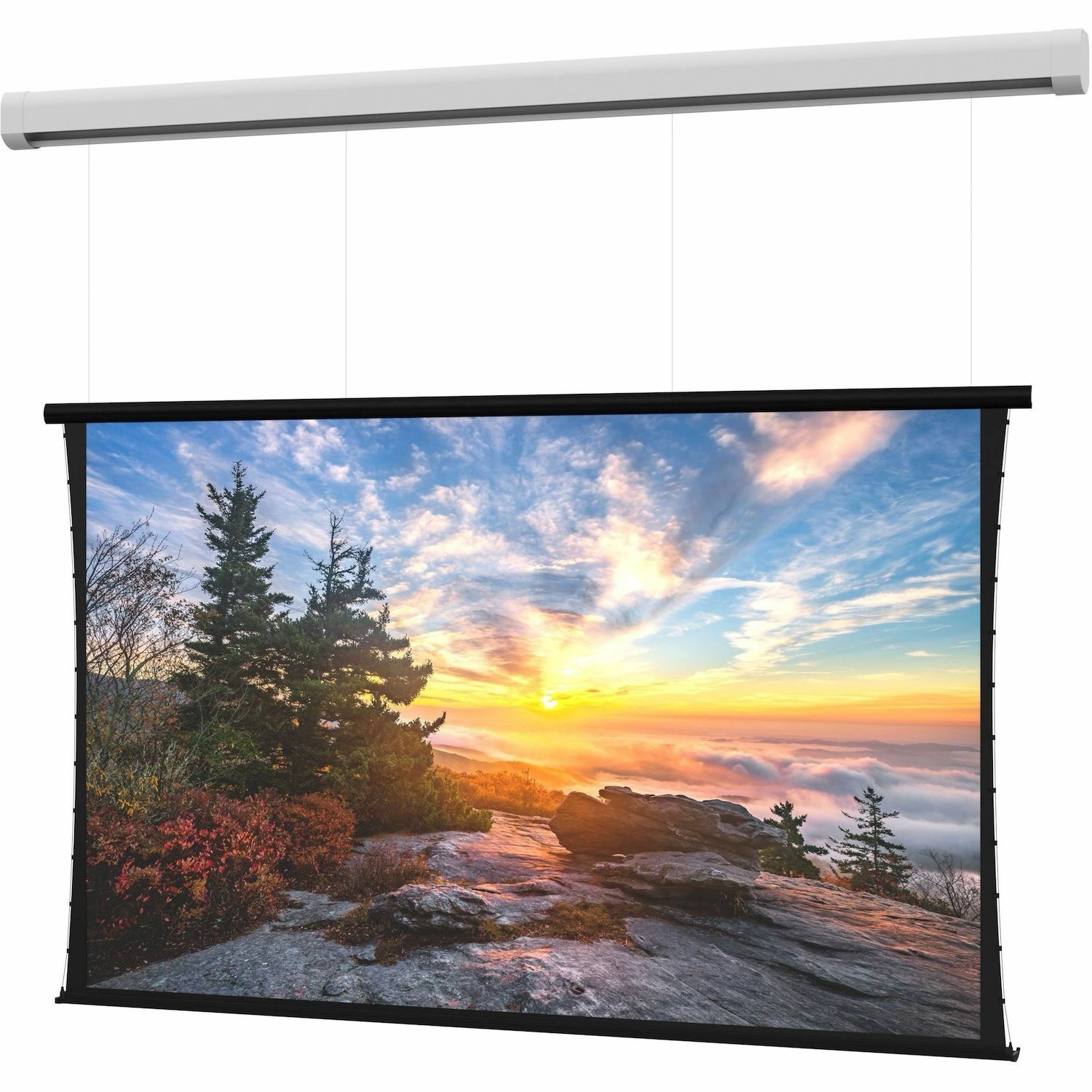Da-Lite Myriad Reveal with SightLine Projection Screen - Wall/Ceiling Mounted - HD Progressive 1.0 - 193in - 120V