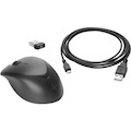 HP Wireless Premium Mouse